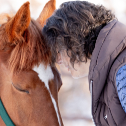 1-on-1 Equine Gestalt