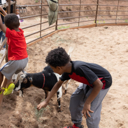 Family Farm Experience