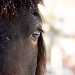 Signature Coaching Package