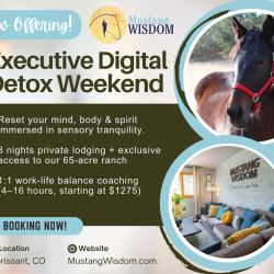 Executive Tech Detox Weekend