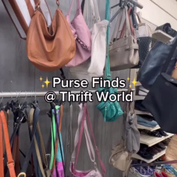 Purses/Handbag