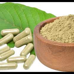 Kratom Powder