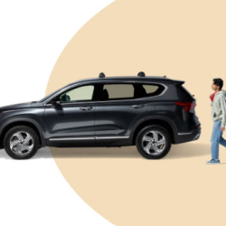 Auto Insurance