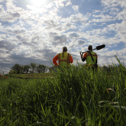 Environmental Services