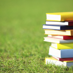 Consultation and Education Services