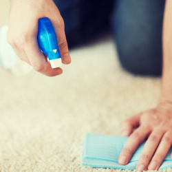 Carpet upholstery cleaning