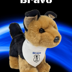 K9 Bravo