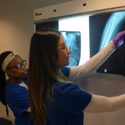 Allied Health & Career Programs