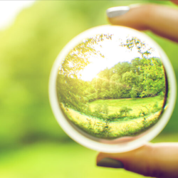 Clarity on Your Outcomes