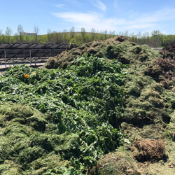 Lawn & Garden Waste