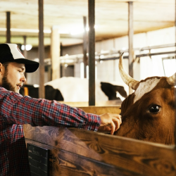 Agricultural Workers