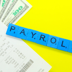 Payroll Services