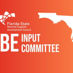 MBE Input Committee