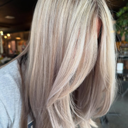 Express Cut (Dry Cut)