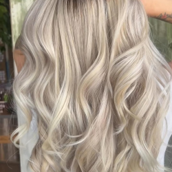 Full Highlight