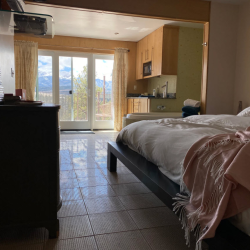 Meadow Suite