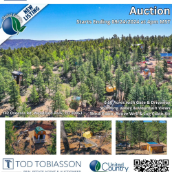 Find Properties For Sale By Auction