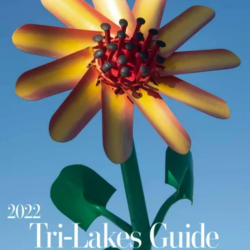 Special Publications