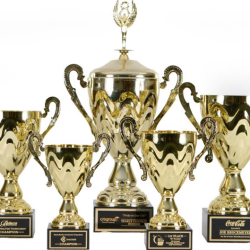 Sports & Academic Awards