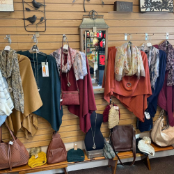 Women’s Clothing