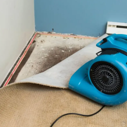 Water Damage Restoration