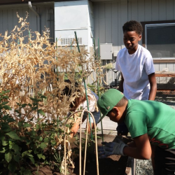 Commercial Education