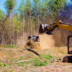 Land Clearing
