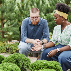 Training & Consulting