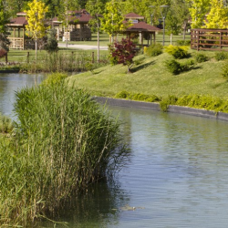 Pond Management