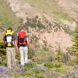 Vacation Rental Management