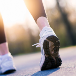 Performance & Recovery