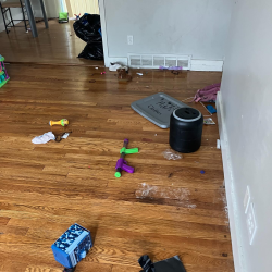 Home Clean Out