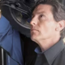 Expert Service Options