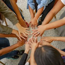 Group Coaching for Organizations