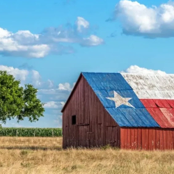 Farm & Ranch Land