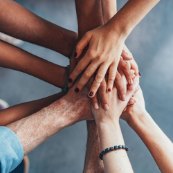 Become Our Vendor And Partner