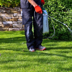 Pest Control