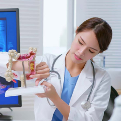 Gastrointestinal Cancer Prevention Program