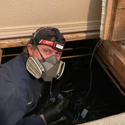 Indoor Pest Preventative Treatment