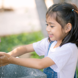 Fresh Water Supply Districts (FWSD)