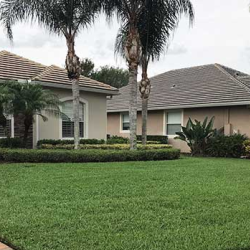 Lawn & Shrub Services