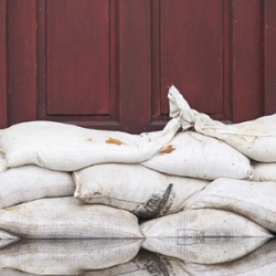 Storm Damage Restoration Services