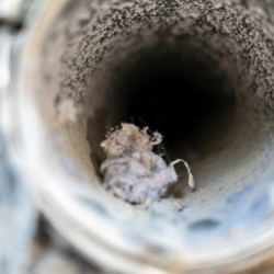 Commercial Restoration Services