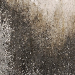 Commercial Fire Damage Restoration