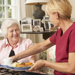 Healthy Meal Plans and Diet Monitoring