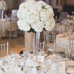 Platinum Party Package