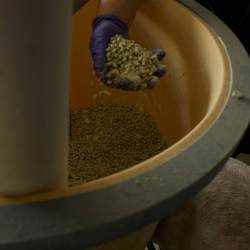 Feed Mills