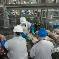 From Pigs to Work