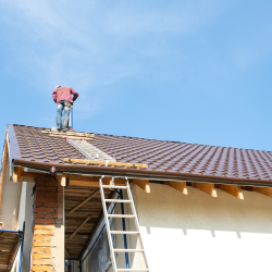 Metal Roofing