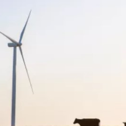 Wind Energy And American Manufacturing